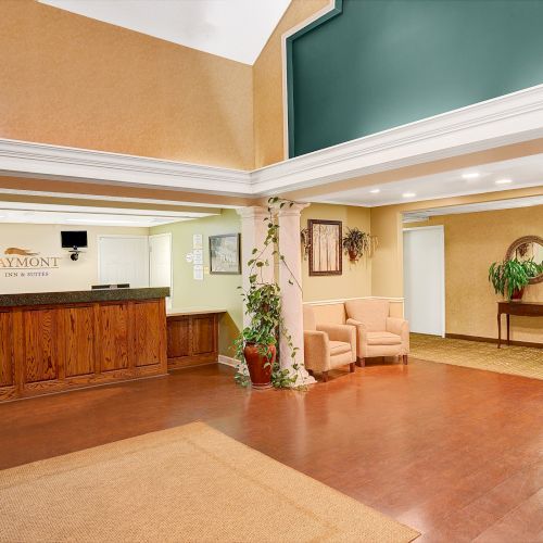 The image shows a hotel lobby with a check-in counter, two beige chairs, potted plants, a mirror, and a console table against a tan and green wall.